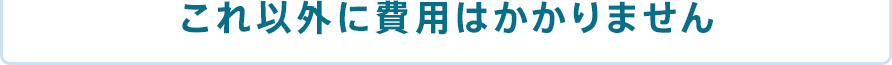 これ以外に費用はかかりません